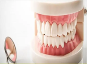 深圳鑲牙——全口義齒修復為什麼要講究節奏韻律呢？