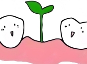 【深圳牙科深度科普】種植牙常見誤區與真相