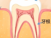 深圳杜牙根所需要嘅時間同費用係幾多？