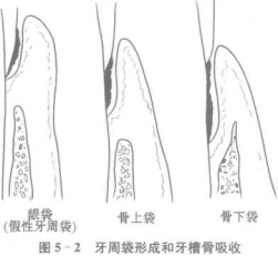 深圳维港口腔