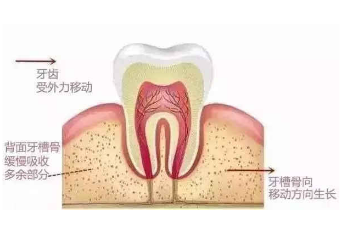 深圳種牙邊度好