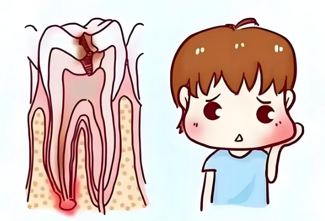 深圳杜牙根