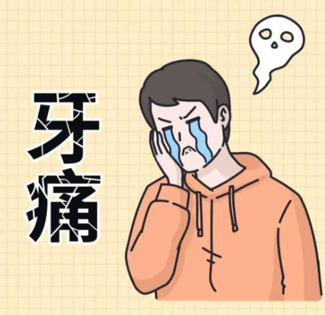 深圳杜牙根推薦